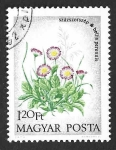 Sellos de Europa - Hungr�a -  2243 - Margaritas Inglesas