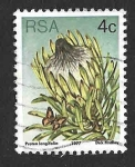 Stamps South Africa -  478 - Arbustos de Azúcar
