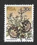 Sellos de Africa - Sud�frica -  478 - Arbustos de Azúcar