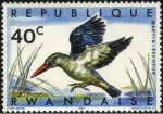 Sellos del Mundo : Africa : Rwanda : Aves de Rwanda. Martín Pescador