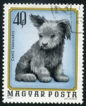 Stamps Hungary -  Perrito