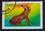 Sellos de Africa - Tanzania -  Caballo Thorougbred
