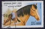 Stamps : Asia : Afghanistan :  Caballo. Paso fino