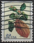 Sellos de America - Estados Unidos -  Pupa d' Escarabajo