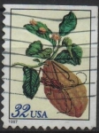 Stamps United States -  Pupa d' Escarabajo