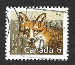 Stamps Canada -  1159 - Zorro Rojo