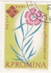 Stamps Romania -  FLORES