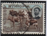 Stamps : Africa : Ethiopia :  Progreso Ganado