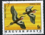 Sellos de Europa - Hungr�a -  Aves