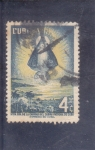Stamps Cuba -  Ntra,Sra. de la Caridad del cobre