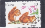 Stamps Cuba -  ardillas