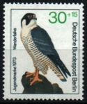 Stamps Germany -  serie- Pro juventud- Aves de Presa