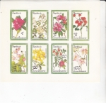 Sellos de Africa - Guinea Ecuatorial -  FLORES