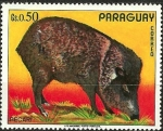 Stamps : America : Paraguay :  Pecari