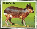 Sellos de America - Paraguay -  Mara