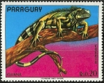 Stamps : America : Paraguay :  Iguana