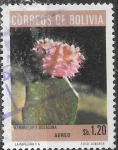 Sellos de America - Bolivia -  Bolivia