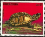 Stamps : America : Paraguay :  Tortuga