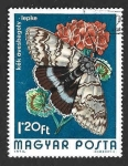 Stamps Hungary -  2317 - Catocala Fraxini