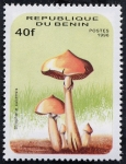 Stamps Benin -  Setas