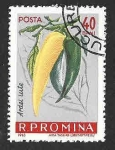 Stamps Romania -  1541 - Pimientos Picantes