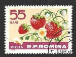 Sellos de Europa - Rumania -  1570 - Fresas