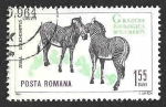 Sellos de Europa - Rumania -  1683 - Cebras de Grévy