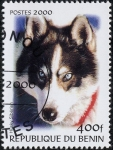 Stamps Benin -  Husky Siberiano