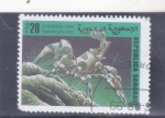 Stamps Morocco -  Fauna marina 