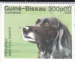 Stamps : Africa : Guinea_Bissau :  PERRO DE RAZA