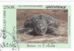 Stamps : Asia : Laos :  tortuga