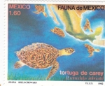 Sellos de America - M�xico -  TORTUGAS MARINAS