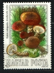 Stamps Hungary -  serie- Setas