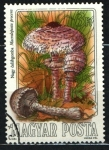 Stamps Hungary -  serie- Setas