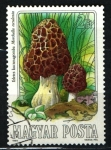 Stamps Hungary -  serie- Setas