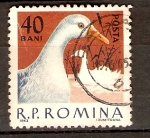 Stamps Romania -  GANSO
