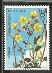 Stamps Europe - Spain -  Helianthemun Paniculatum