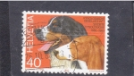Stamps Switzerland -  Centenario de la Sociedad Suiza de Cinologíaperros