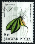 Stamps Hungary -  serie- Mariposas