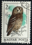 Stamps Hungary -  serie- Fauna protegida