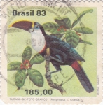Stamps Brazil -  Tucán