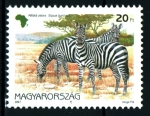 Sellos de Europa - Hungr�a -  serie- Fauna africana