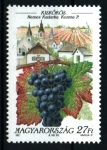 Stamps Hungary -  serie- Regiones vinícolas y viñedos