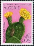 Stamps Africa - Algeria -  Flores - 1969, Fleur of Prickly peartree
