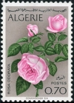 Stamps Africa - Algeria -  Flowers - 1969, Rose (Rosa odorata)