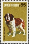 Stamps : Europe : Romania :  San Bernardo (Canis lupus familiaris)