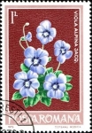 Stamps Romania -  Violeta alpina (Viola alpina)