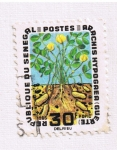 Stamps : Africa : Senegal :  Arachis Hypogaea (guerte)