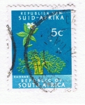 Stamps : Africa : South_Africa :  Baobab