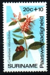 Sellos de America - Surinam -  serie- Flores de Pascua